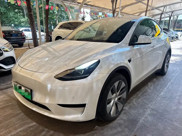 Tesla Model Y 2022 Rear-Wheel Drive Version