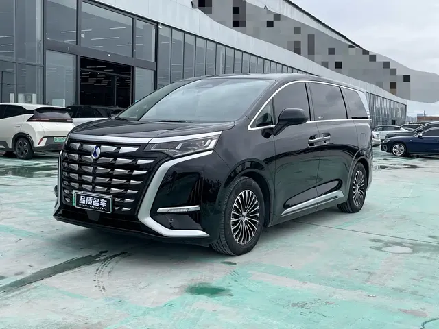 Denza D9 2024 DM-i 980 AWD Flagship