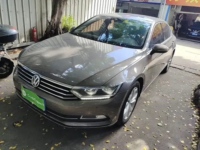 Volkswagen Magotan 2019 330TSI DSG Luxury China V