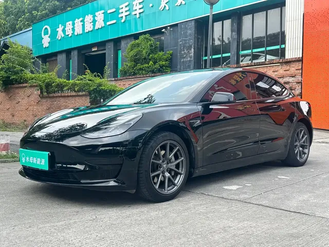 Tesla Model 3 2022 Model Rear-Wheel Drive Version