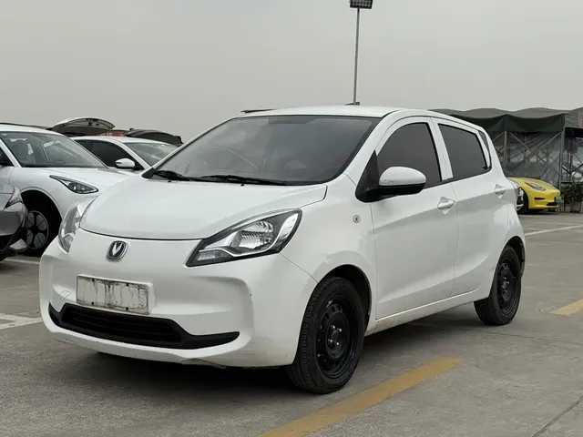 Changan Benben E-Star 2022 National Edition Colorful Limited (Fast Charging) LFP