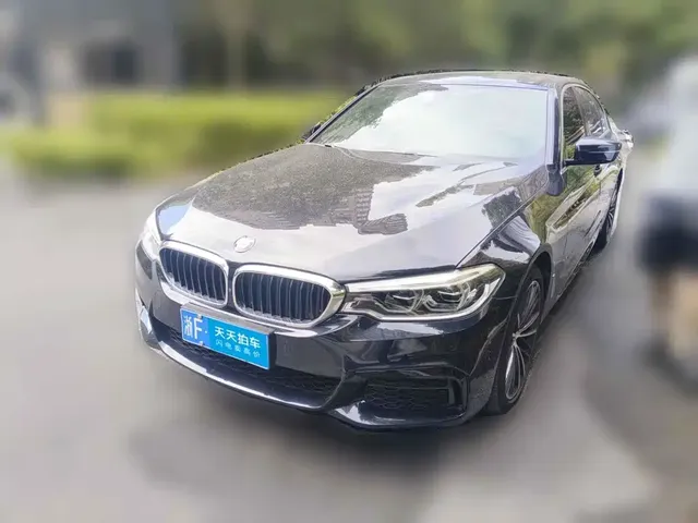 BMW 5 Series 2020 530Li Exclusive M Sport Package
