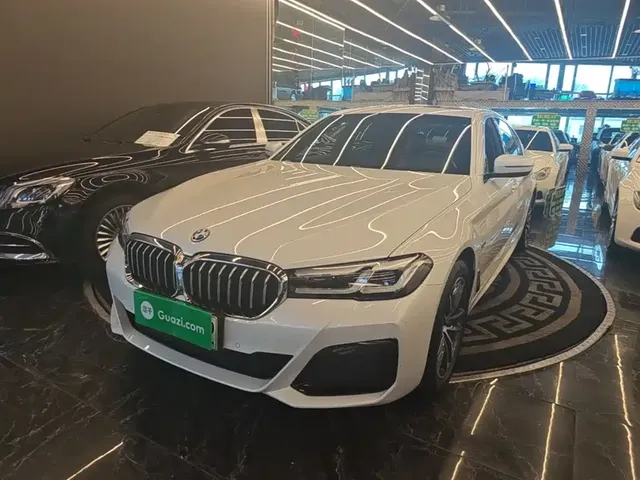 BMW 5 Series New Energy 2022 Model Second Facelift 535Le M Sport Package