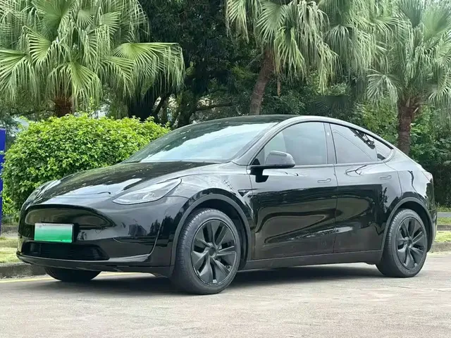 Tesla Model Y 2024 Rear-Wheel Drive Version