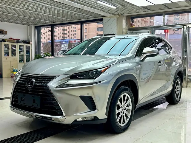 Lexus NX 2020 200 AWD F Sport China V