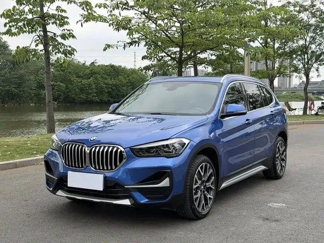 BMW X1 2020 xDrive25Li Premium Edition