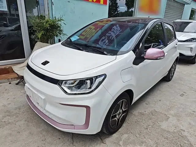 Sehol Flower Fairy 2021 302km Fashion Edition 31.4kWh