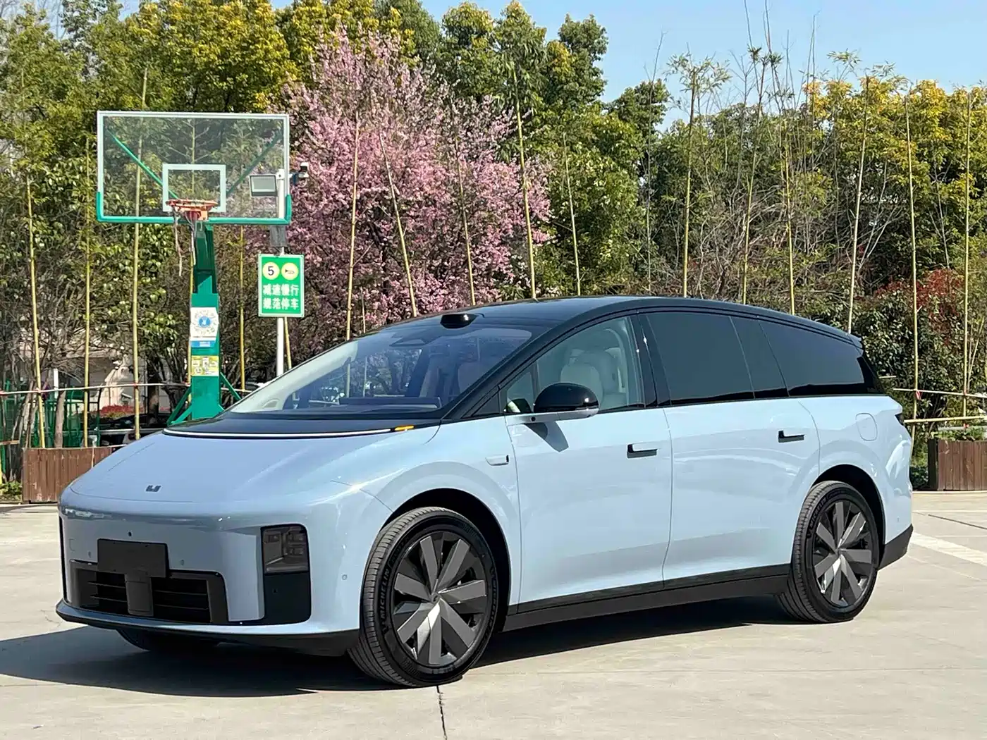 Li Auto Li i8 2025 Standard Edition
