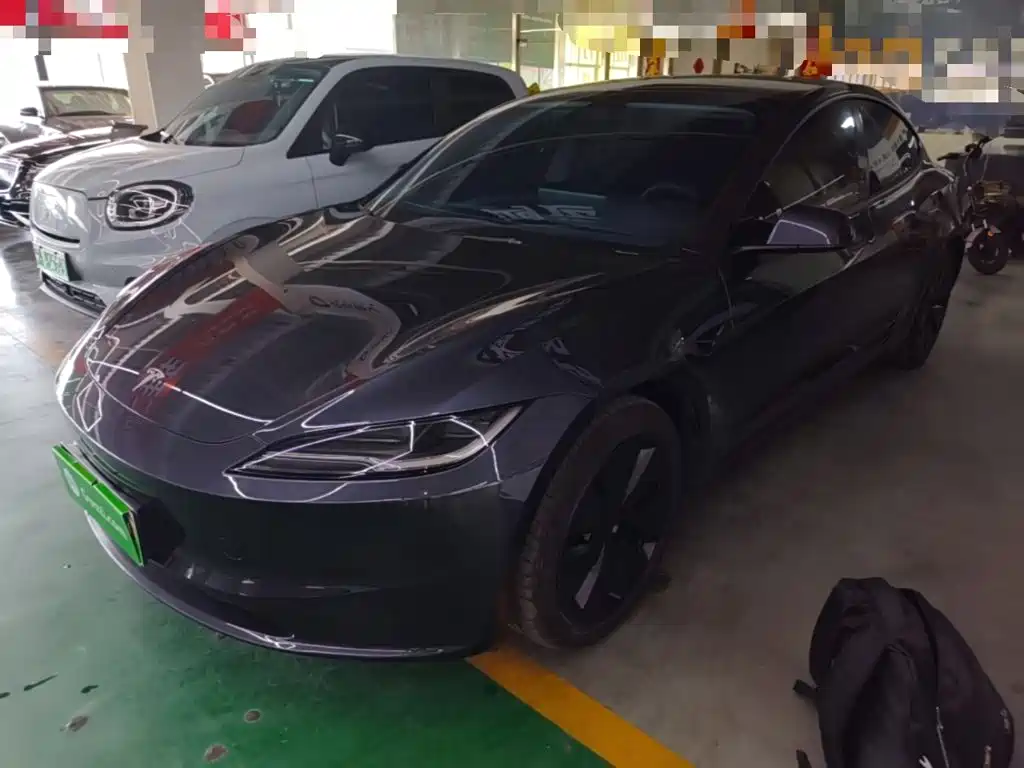 Tesla Model 3 2025 Model Rear-Wheel Drive Edition