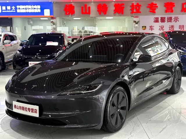 Tesla Model 3 2025 Model Rear-Wheel Drive Edition