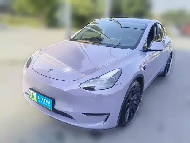 Tesla Model Y 2021 Standard Range Rear-Wheel Drive