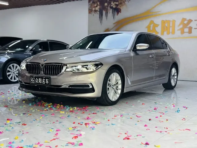 BMW 5 Series 2020 530Li Premium Luxury Package