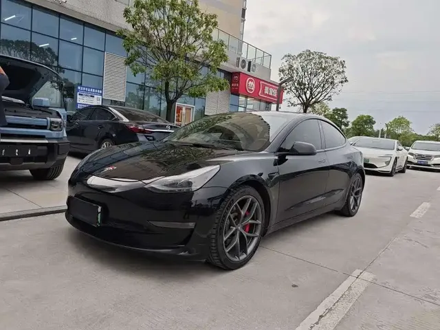Tesla Model 3 2021 Performance High-Performance All-Wheel Drive 3D6