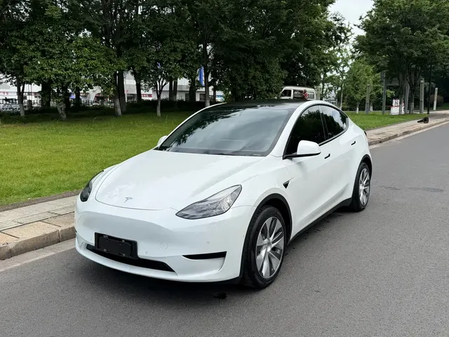Tesla Model Y 2022 Rear-Wheel Drive Version