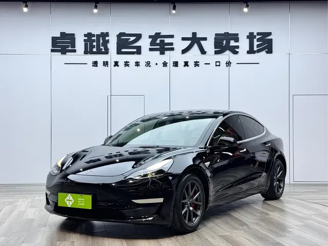 Tesla Model 3 2021 Standard Range Rear-Wheel Drive Upgrade 3D6