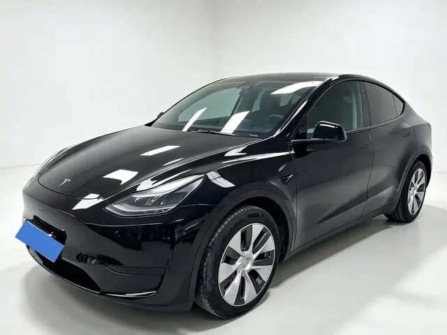 Tesla Model Y 2022 Rear-Wheel Drive Version