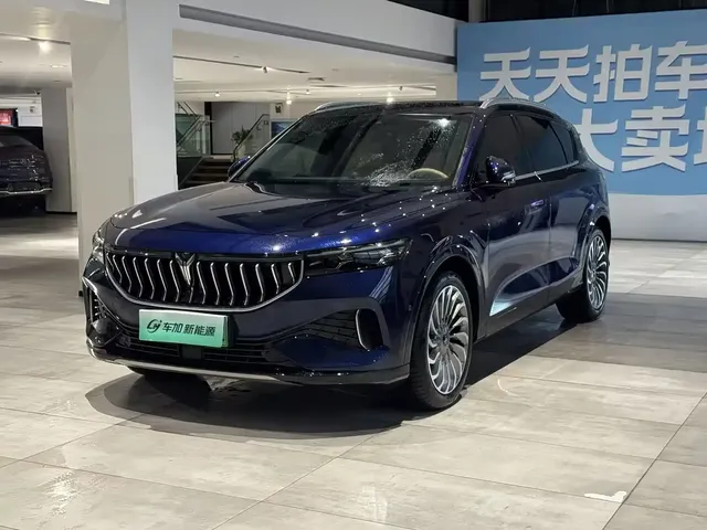 Voyah Auto VOYAH FREE 2021 AWD Standard Extended Range Edition