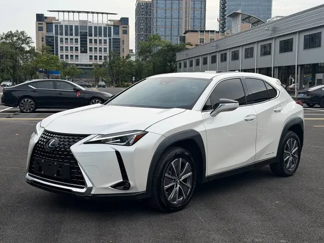 Lexus UX Electric 2020 300e Pure Enjoyment Edition