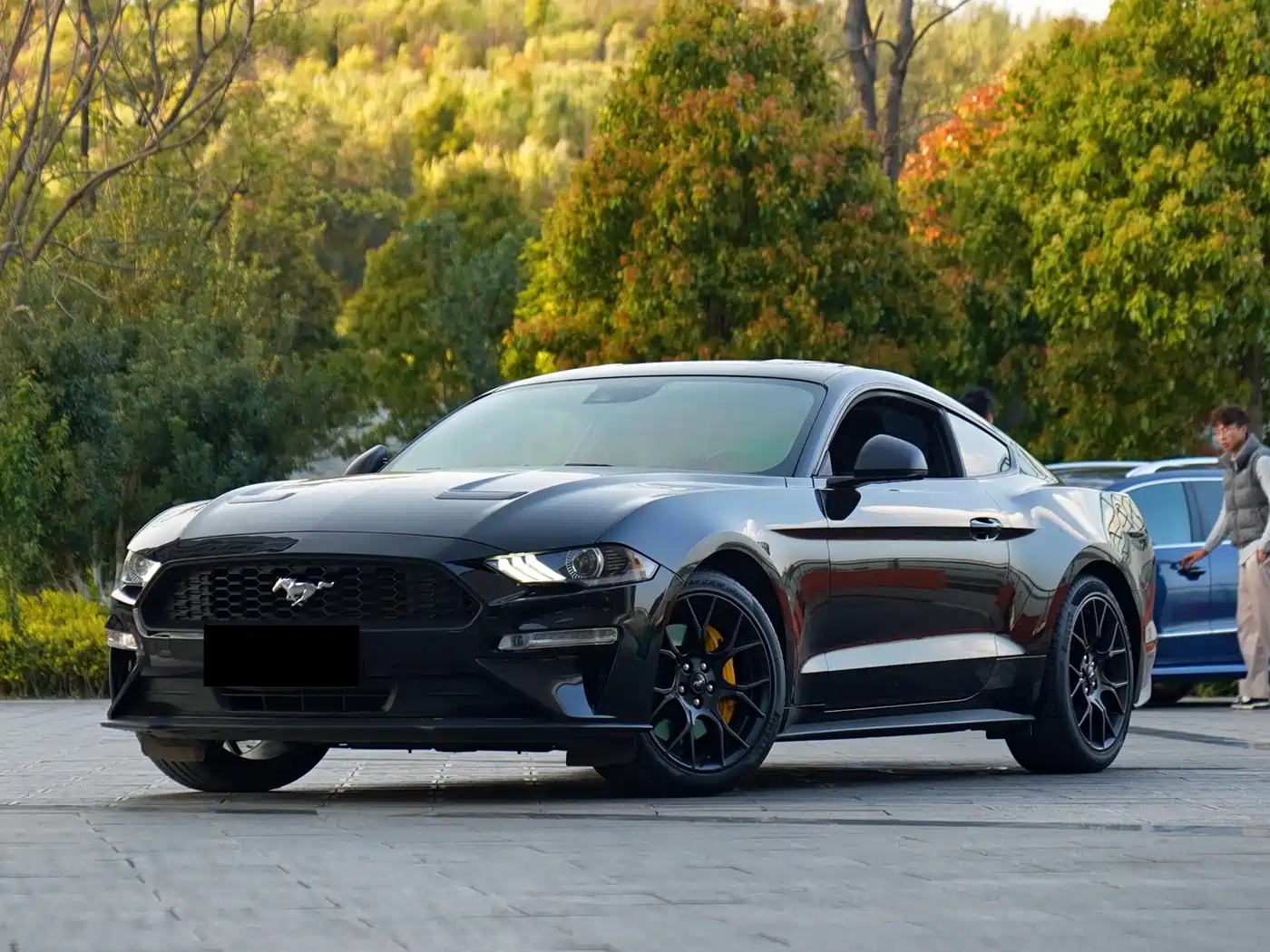 Ford Mustang 2020 2.3L EcoBoost Shadow Performance Upgrade Edition