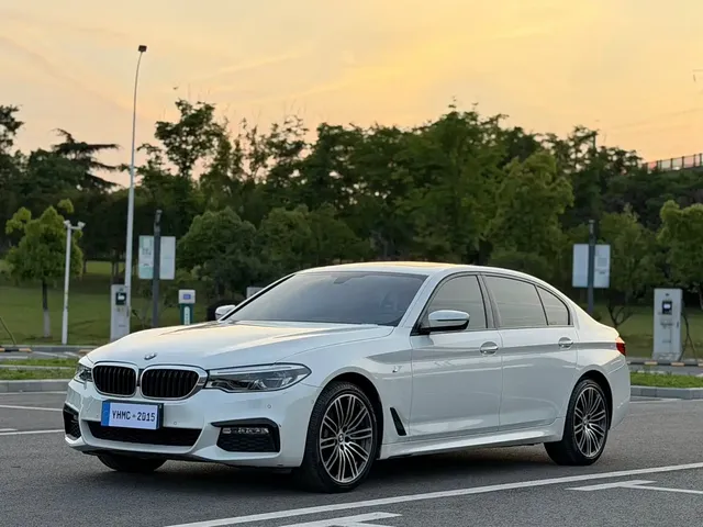 BMW 5 Series 2018 530Li Premium M Sport Package