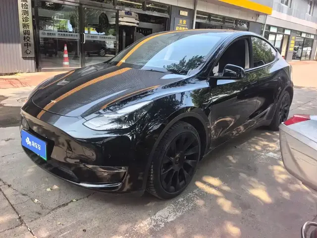 Tesla Model Y 2021 Standard Range Rear-Wheel Drive