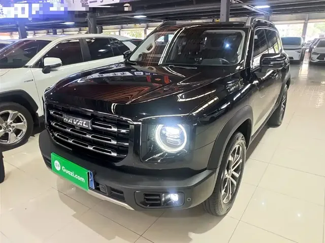Haval Big Dog 2021 1.5T DCT 2WD Border Collie Edition