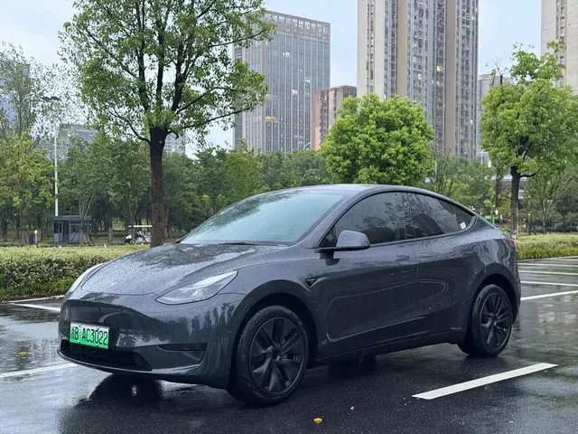 Tesla Model Y 2024 Rear-Wheel Drive Version