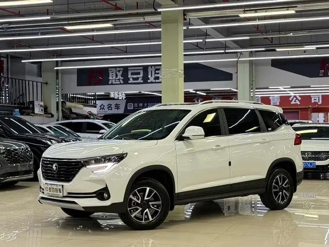 Dongfeng Fengxing T5 2021 1.5T Automatic Comfort Edition