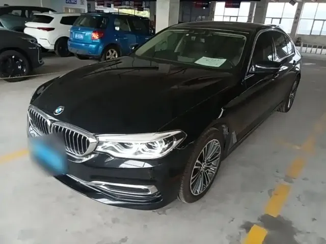 BMW 5 Series 2019 530Li Premium Luxury Package