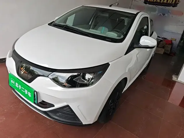 JMCG New Energy Little Kirin 2024 201km Comfort Model