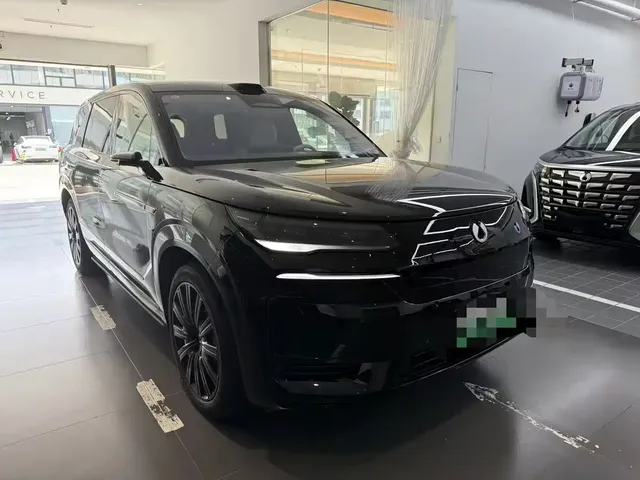 Denza N9 2025 Flagship Model