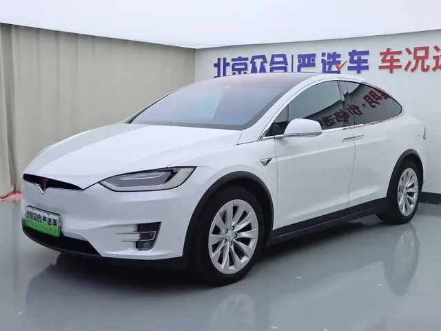 Tesla Model X 2017 Model X 100D Long Range