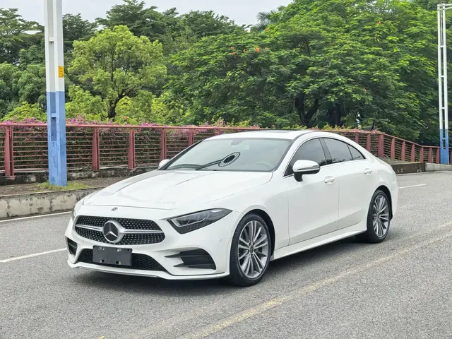 Mercedes-Benz CLS 2020 CLS 300 Dynamic