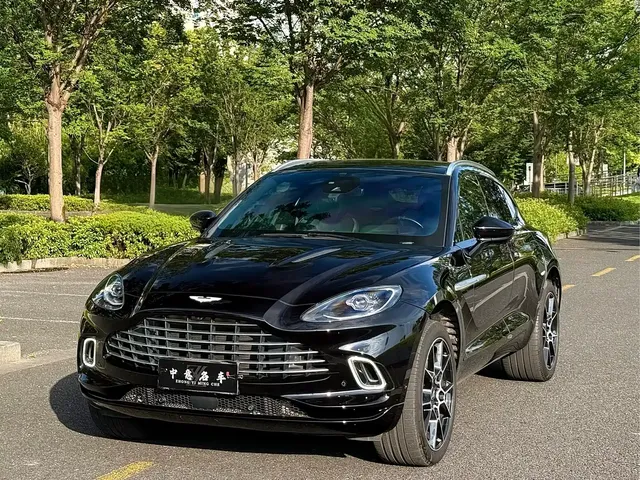 Aston Martin DBX 2021 4.0T V8 Silk Road Splendor