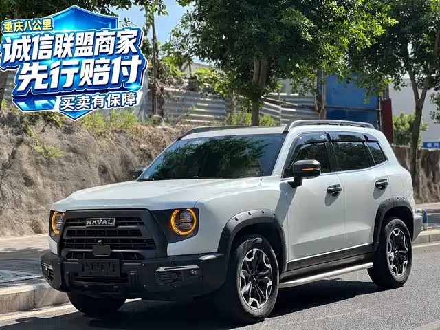 Haval Big Dog 2024 2.0T DCT Chinese Rural Dog Edition