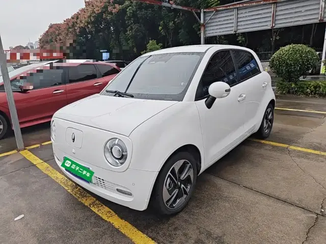 Ora Black Cat 2022 351km Luxury (NMC)