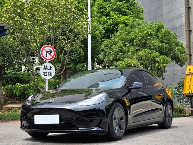 Tesla Model 3 2022 Model Rear-Wheel Drive Version