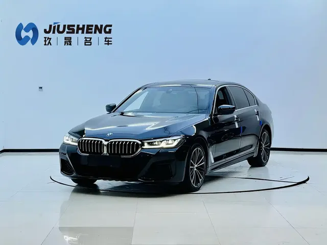 BMW 5 Series 2021 530Li Leading Luxury Package