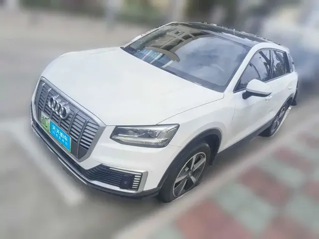 Audi Q2L e-tron 2019 Q2L e-tron Pure Electric Smart Cool Edition