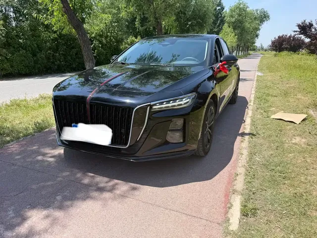 Hongqi H5 2025 2.0T Automatic Mystic Shadow