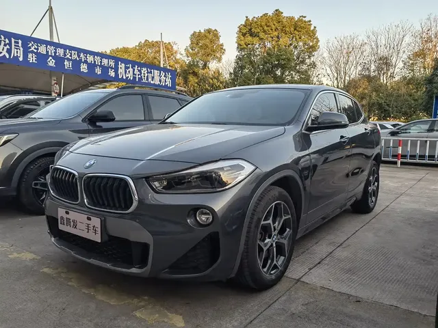 BMW X2 (Import) 2019 sDrive20i M Off-Road Package China VI