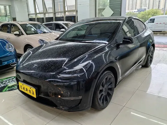 Tesla Model Y 2021 Standard Range Rear-Wheel Drive
