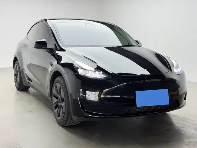 Tesla Model Y 2024 Rear-Wheel Drive Version