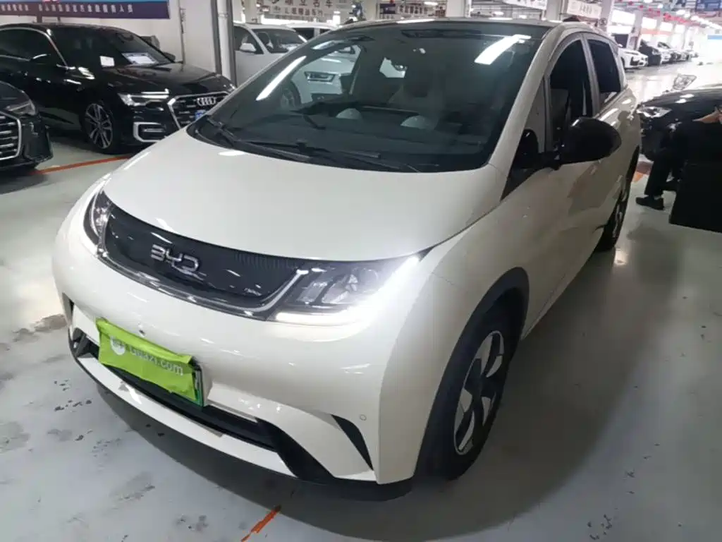 BYD Dolphin 2024 Glory Edition 420km Fashion Edition