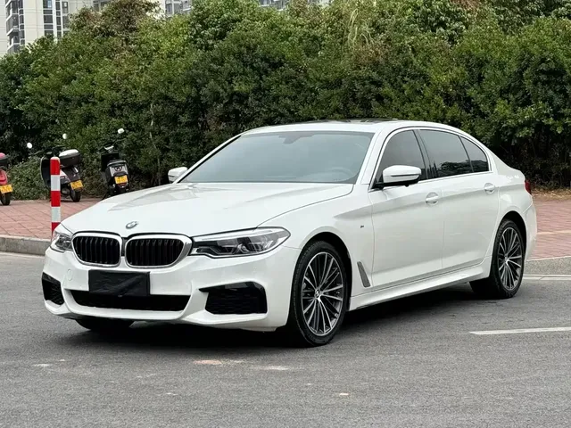 BMW 5 Series 2020 530Li Leading M Sport Package