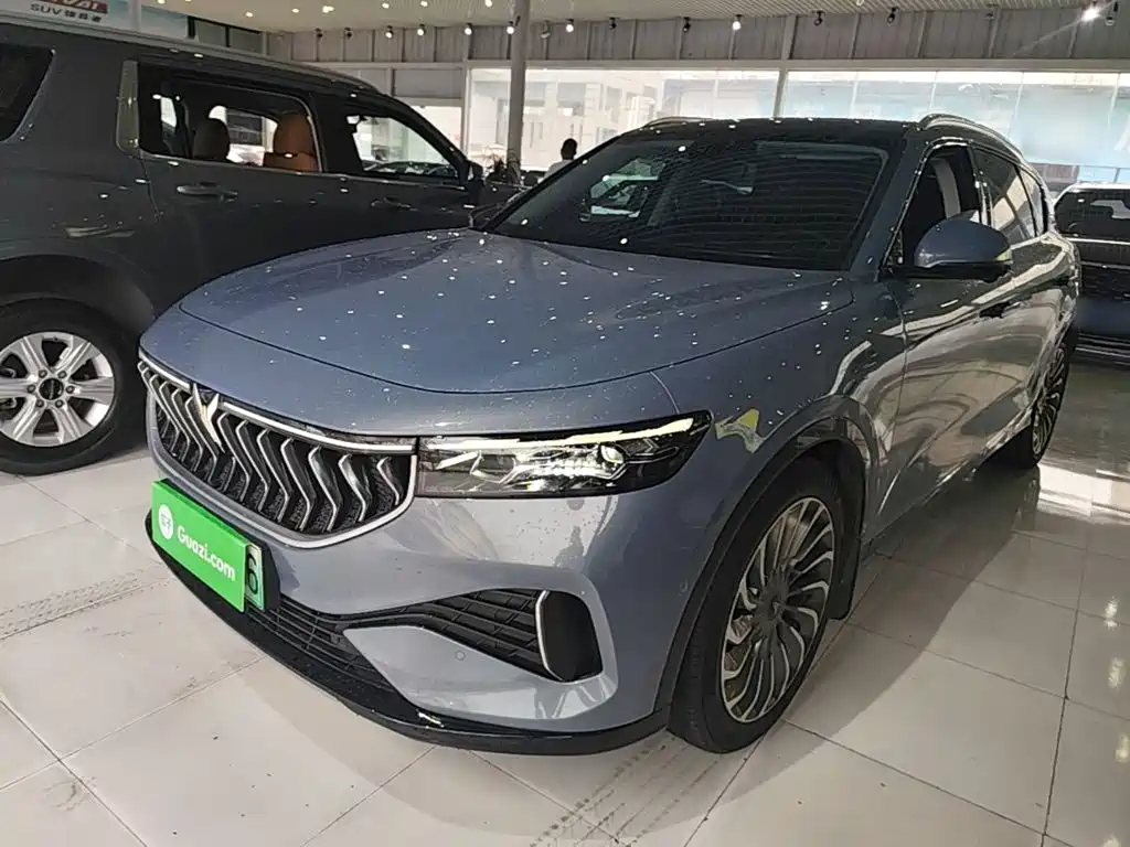 Voyah Auto VOYAH FREE 2021 2WD Standard Pure Electric Urban Edition