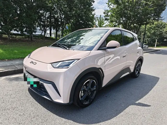 BYD Seagull 2024 Glory Edition 305km Freedom Edition