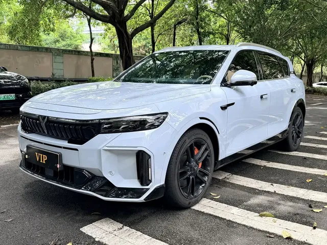 Voyah Auto VOYAH FREE 2024 Ultra Long Range Intelligent Driving Edition