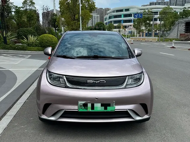 BYD Dolphin 2021 405km Freedom Edition