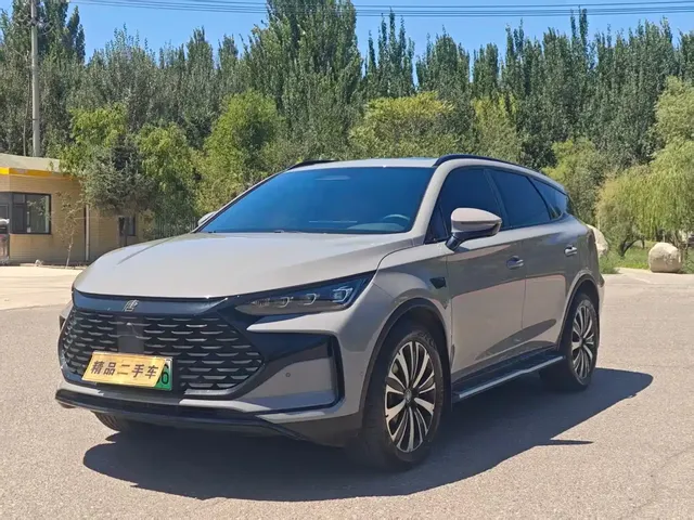 BYD Tang New Energy 2026 Smart Drive Edition DM-i 160KM Premium